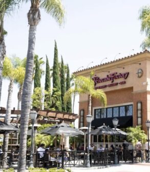 {{brizy_dc_image_alt imageSrc=